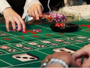 365best体育app免费版